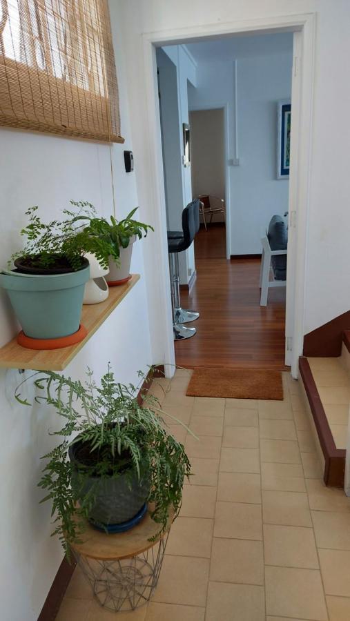 Tropical Palms Apartment Mauritius Pointe aux Canonniers Luaran gambar